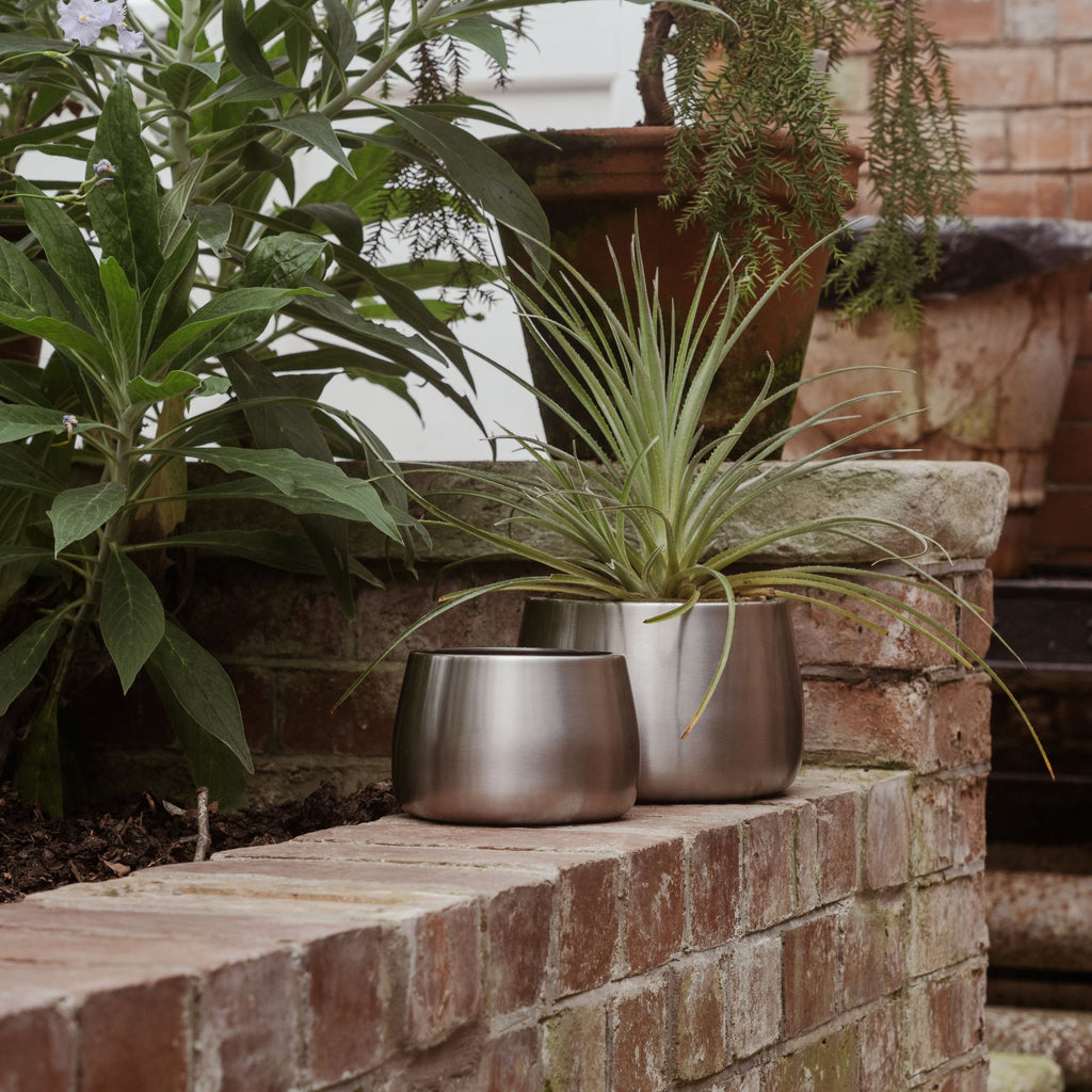 From The Anvil's Satin Stainless Steel modern plant pots on a brick wall