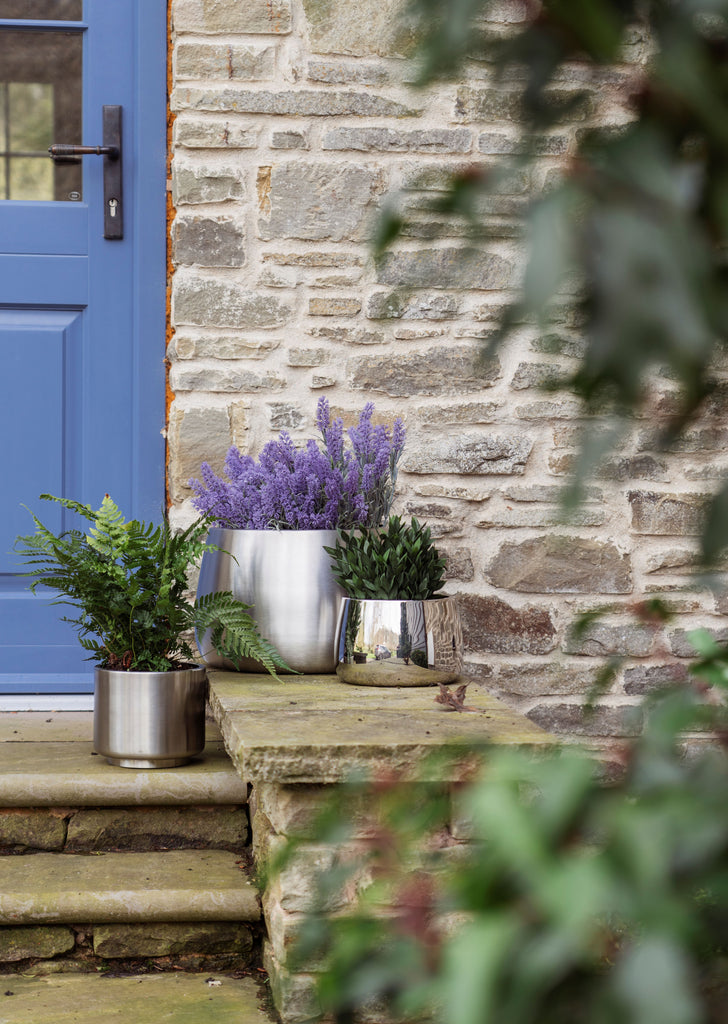 Group of Polished and Satin Stainless Steel plant pots with assorted plants on a brick wall outside a blue exterior door with a From The Anvil Black door handle.